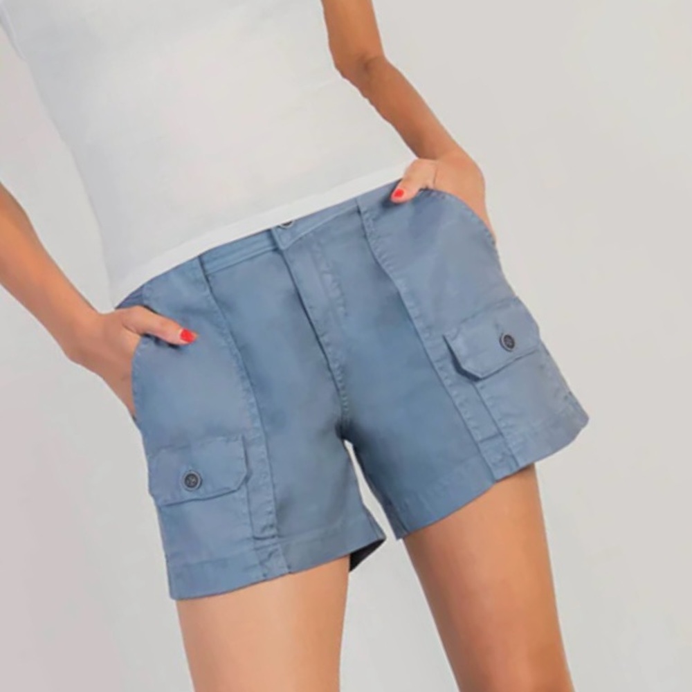NWT Level 99 Cargo Shorts - blue gray steel Tencel eco friendly soft 25 R-$90